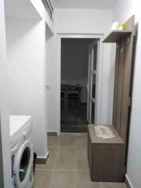 Apartament familia Iancu